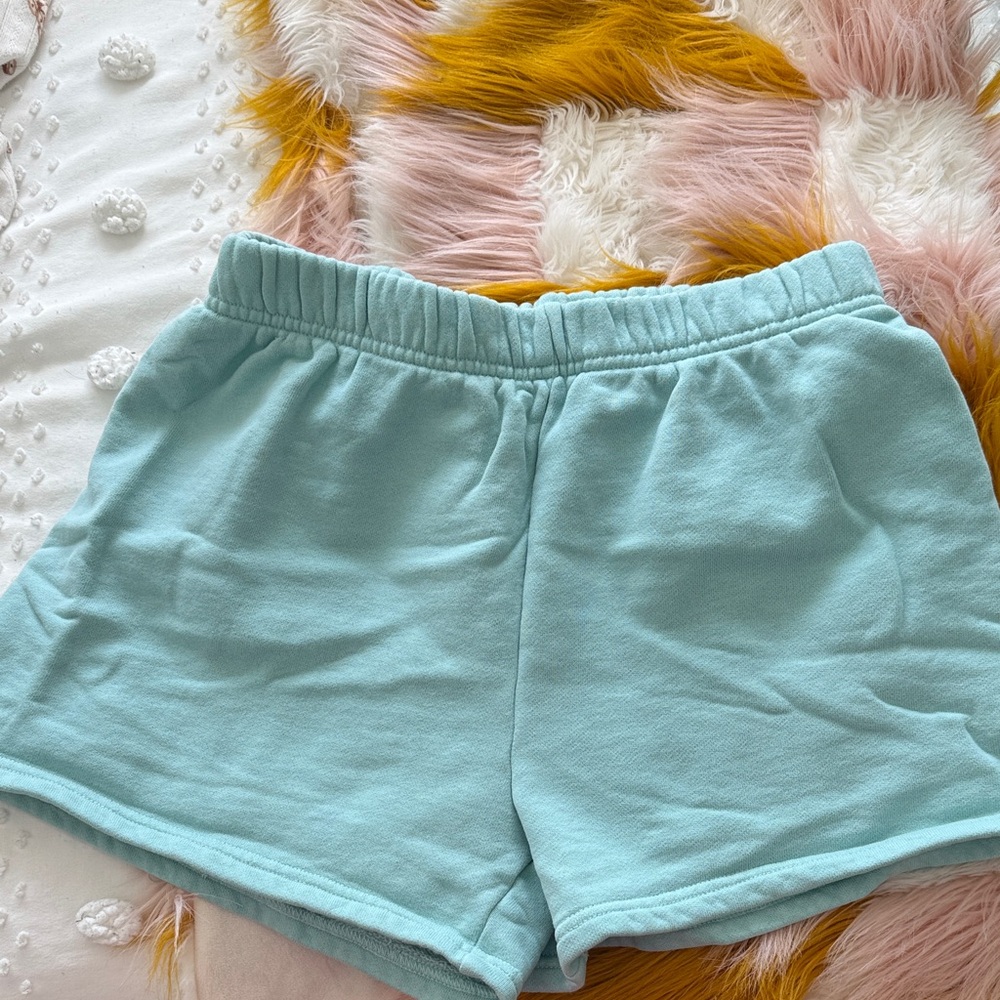 Aritzia Sky Blue Athletic Shorts